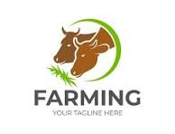 broniasanga25.gnomio.com